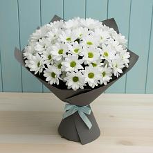 Букет цветов из:  Хризантемы в Булгаково Башкортостан