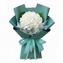 Букет цветов из:  Гортензия #REPLACE_PRED# Булгаково Башкортостан